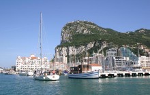 Gibraltar Dolphin Sighting Tour from Costa Del Sol