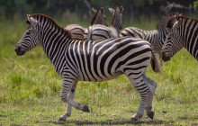 Hausa Tours Ltd.7