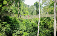 Hausa Tours Ltd.10