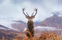 SPIRIT JOURNEYS LTD10