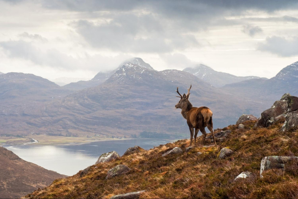 NC500 Road Trip - Self Drive Tour - 8 Days