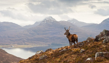 A picture of NC500 Road Trip - Self Drive Tour - 8 Days