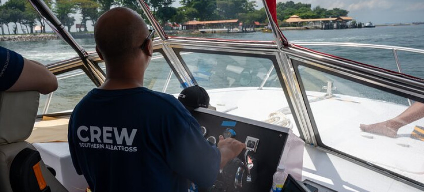 Albatross Hop-On Hop-Off Speedboat Pass