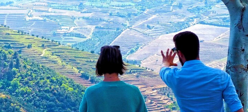 Private Premium Wine Experience through Douro Valley
