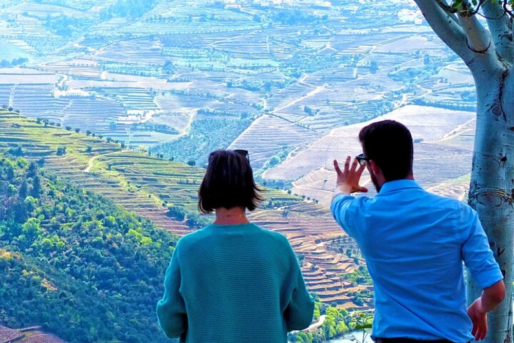 Private Premium Wine Experience through Douro Valley