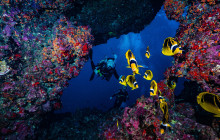 Dive Maui / Hawaiian Rafting Adventures Inc1
