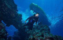 Dive Maui / Hawaiian Rafting Adventures Inc3