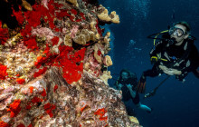 Dive Maui / Hawaiian Rafting Adventures Inc6