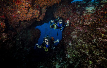 Dive Maui / Hawaiian Rafting Adventures Inc13