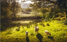 The Lake District, Edinburgh & The Outlander Trail 8 Days