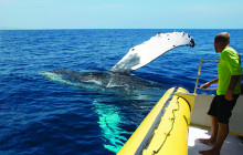 Dive Maui / Hawaiian Rafting Adventures Inc7