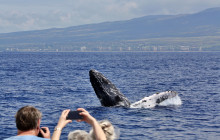 Dive Maui / Hawaiian Rafting Adventures Inc6
