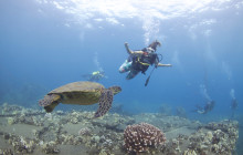 Dive Maui / Hawaiian Rafting Adventures Inc2