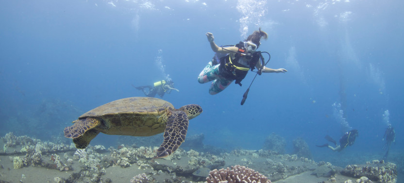 Discover Scuba from Shore