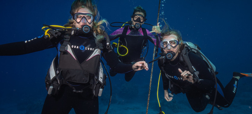 Discover Scuba from Shore