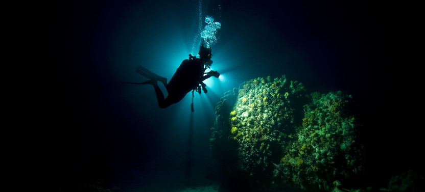 Night Dive from Shore