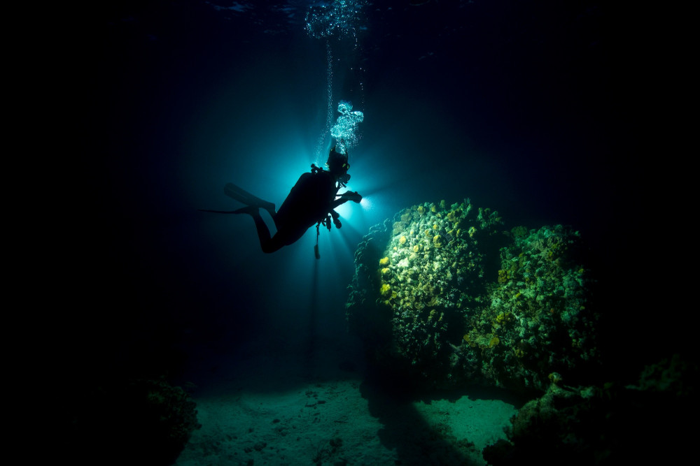 Dive Maui / Hawaiian Rafting Adventures Inc