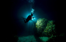 Dive Maui / Hawaiian Rafting Adventures Inc12