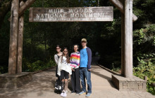 Dylan's Tours44