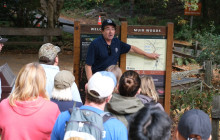 Dylan's Tours42