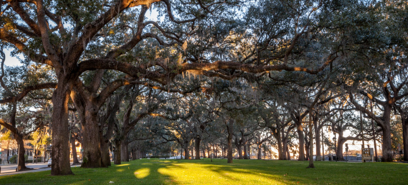 Savannah Self-Guided Walking Tours Bundle
