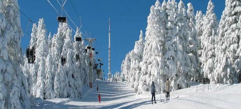 Private Trip Bakuriani & Borjomi Day Tour with Lots of Activities