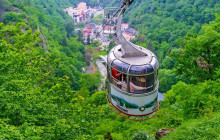 Vitis Travel LTD1
