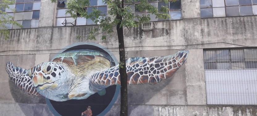 Private Half Day Street Art and Graffiti Tour