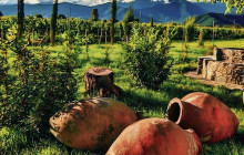 Vitis Travel LTD4