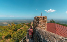 Vitis Travel LTD3