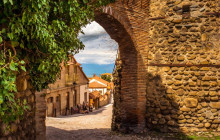 Vitis Travel LTD9