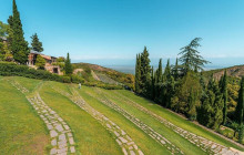 Vitis Travel LTD12