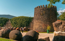 Vitis Travel LTD21