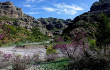 Bunyod-Tour LLC4