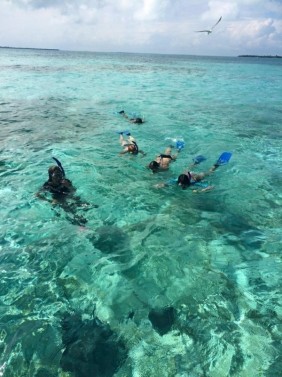 Caye Caulker Marine Reserve Half-day Tour