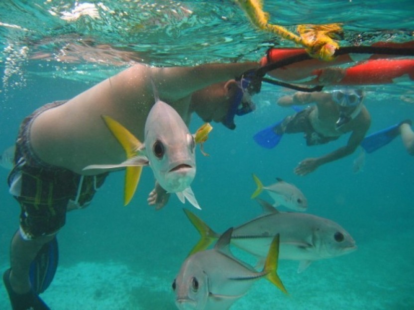 Snorkel Hol Chan & Shark Ray Alley