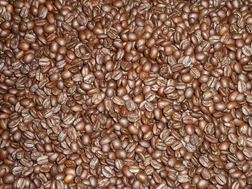 Visit a 100% Organic Coffee Farm