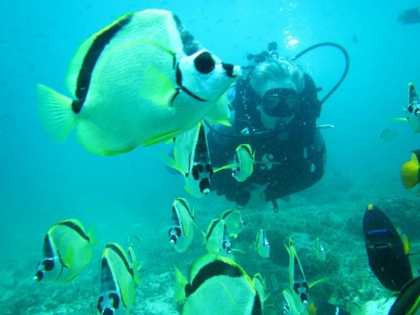 2 Tank Dive at Catalina Island - Costa Rica