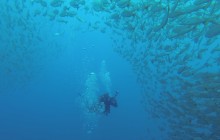 PADI Advanced Open Water Diver Course from Guanacaste