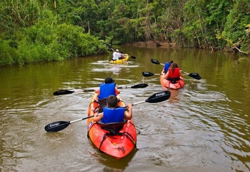 Kayak Tour