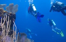 Fun Dives for Certified Divers