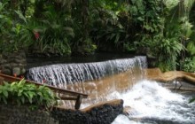 Arenal 4 in 1 with Tabacon Hot Springs