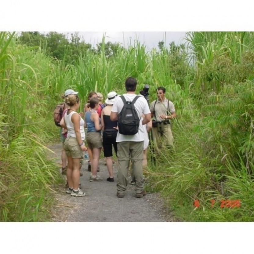 Arenal Volcano Hike + Titoku Hot Springs