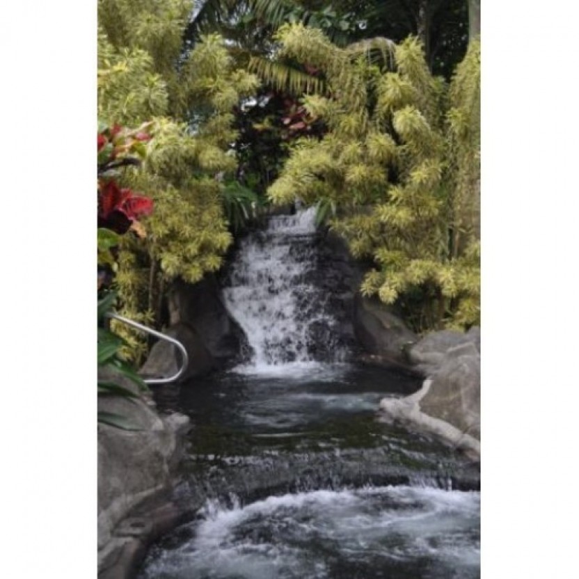 Arenal Volcano Hike + Titoku Hot Springs