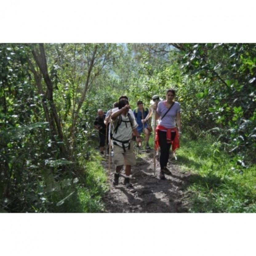 Arenal Volcano Hike 1968 Trail