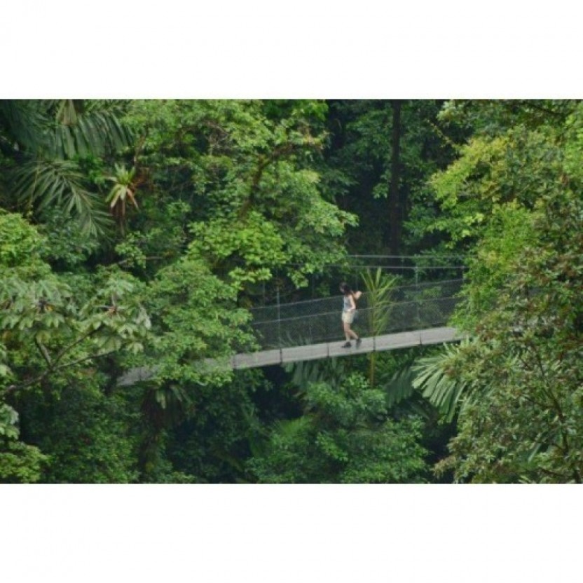 Arenal Hanging Bridges