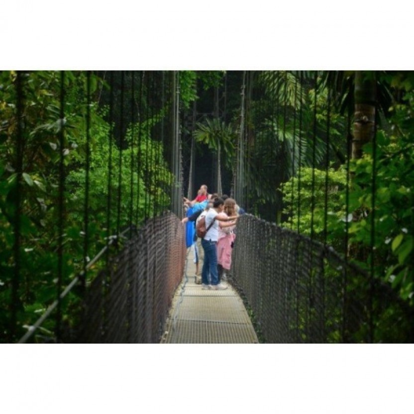Arenal Hanging Bridges