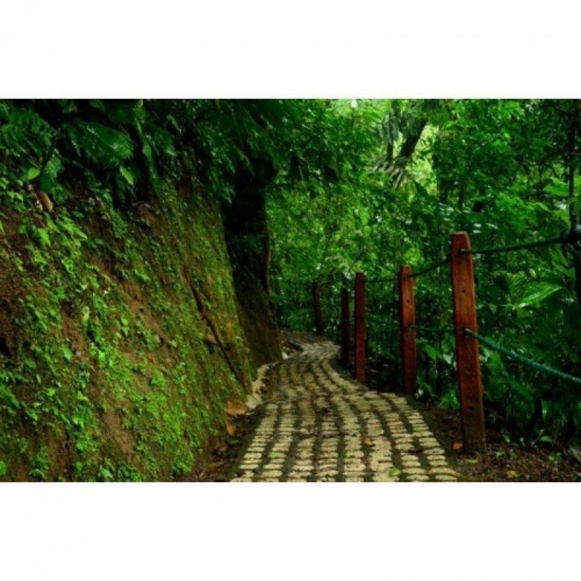 Arenal Hanging Bridges