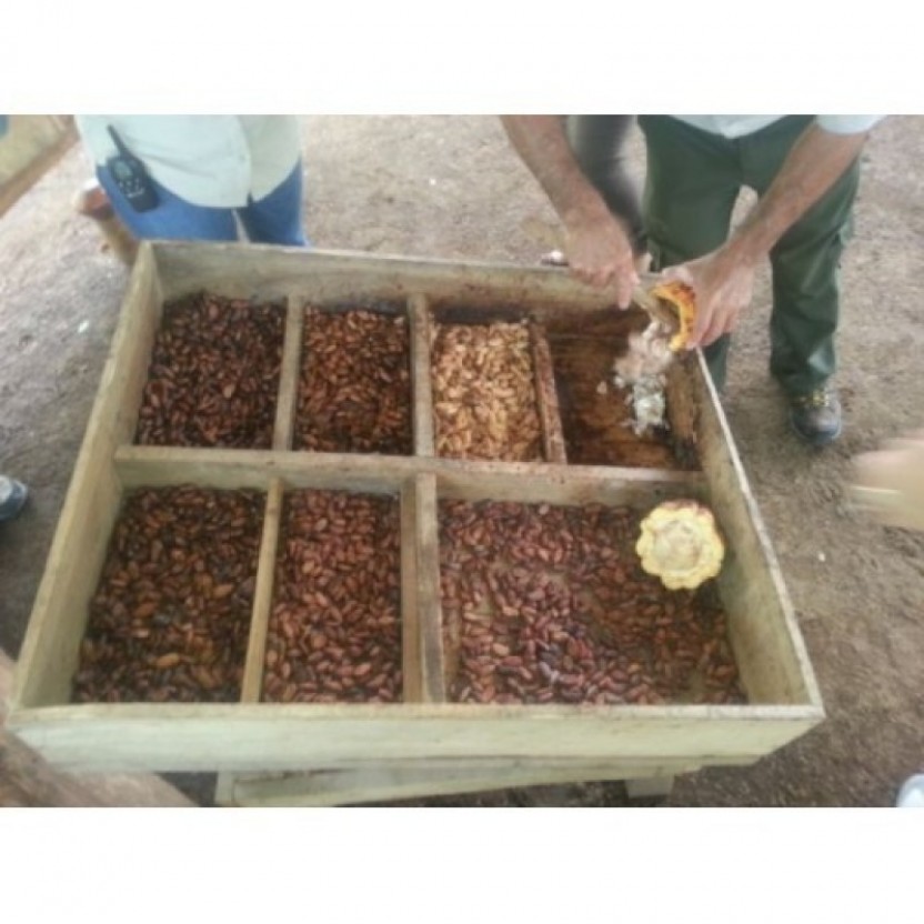 Chocolate Making & La Fortuna Waterfall Adventure