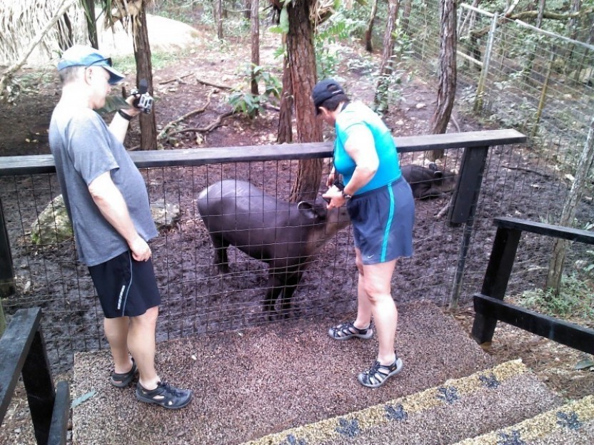 The Belize Zoo